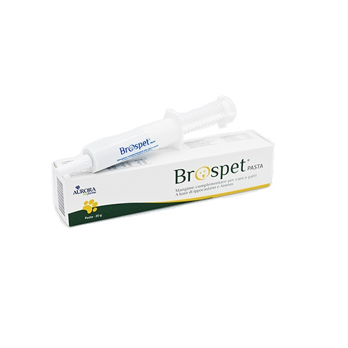 BROSPET PASTA 20G