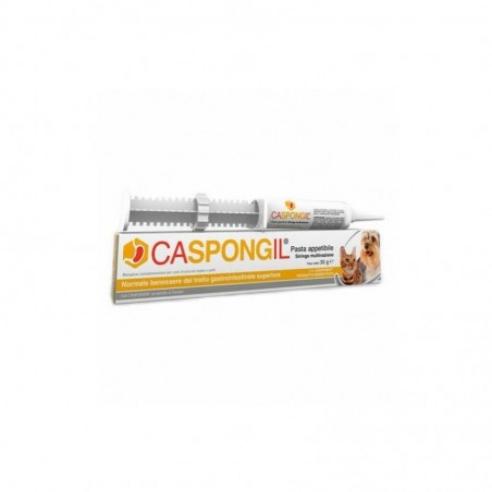 CASPONGIL PASTA 30G